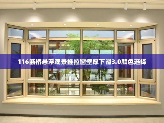 116断桥悬浮观景推拉窗壁厚下滑3.0颜色选择