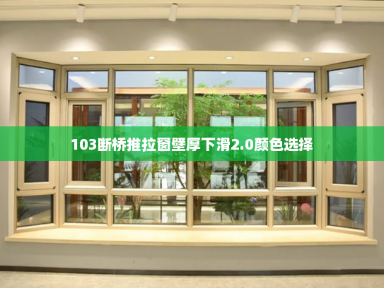 103断桥推拉窗壁厚下滑2.0颜色选择